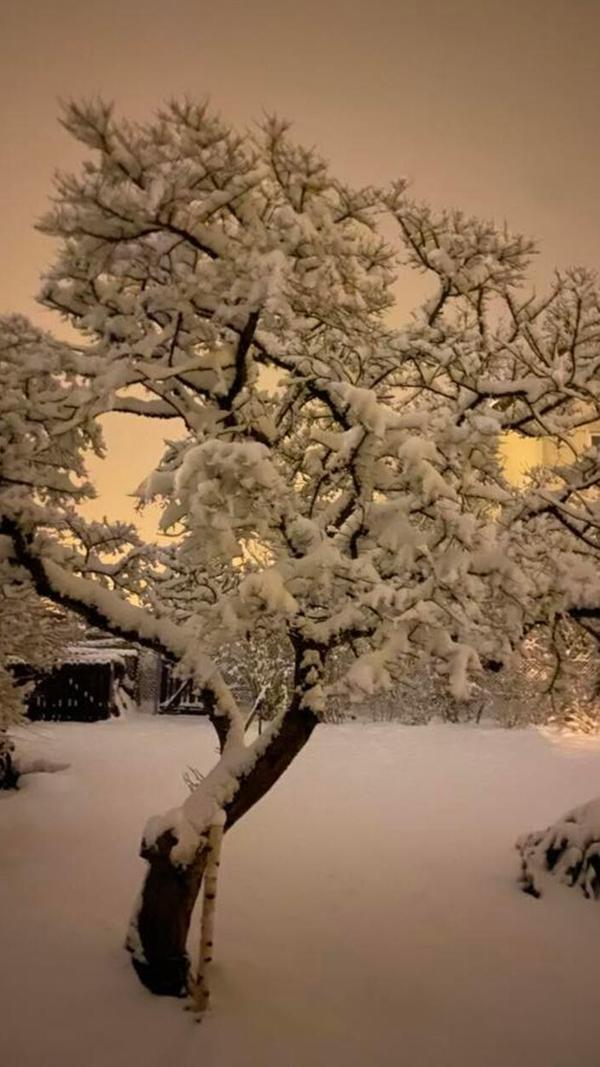 Nachts um 3 Uhr glühte es dank des Schnees fast schon taghell in Bernlohe.