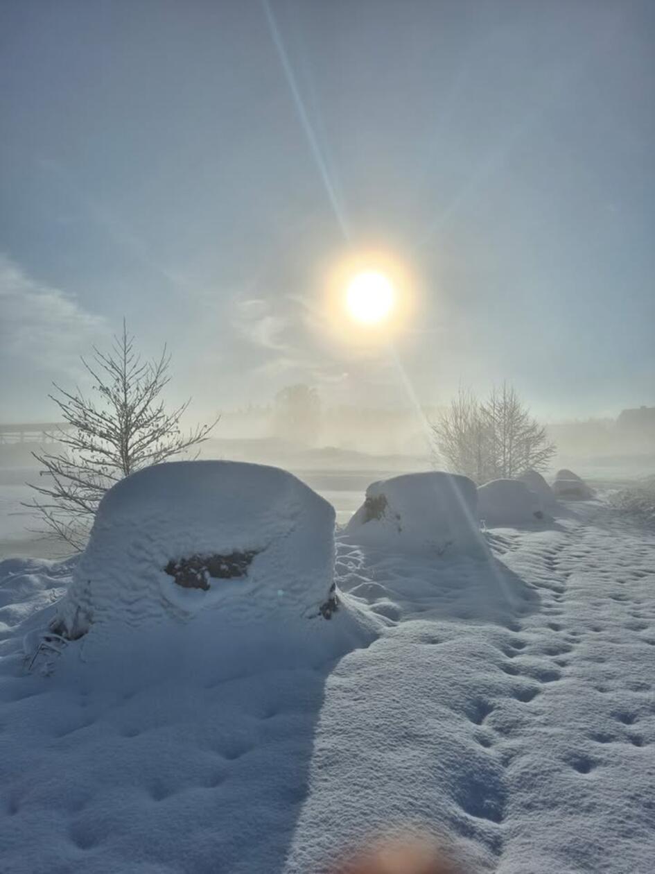 Der Schnee und die Sonne. Fotografiert von Markus Biallas.