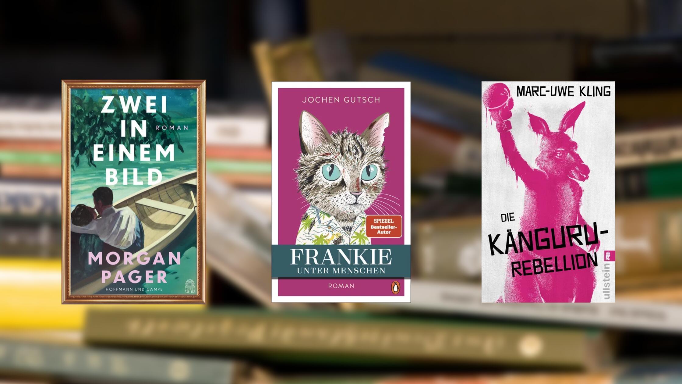 2026-01-28_12-06_collage