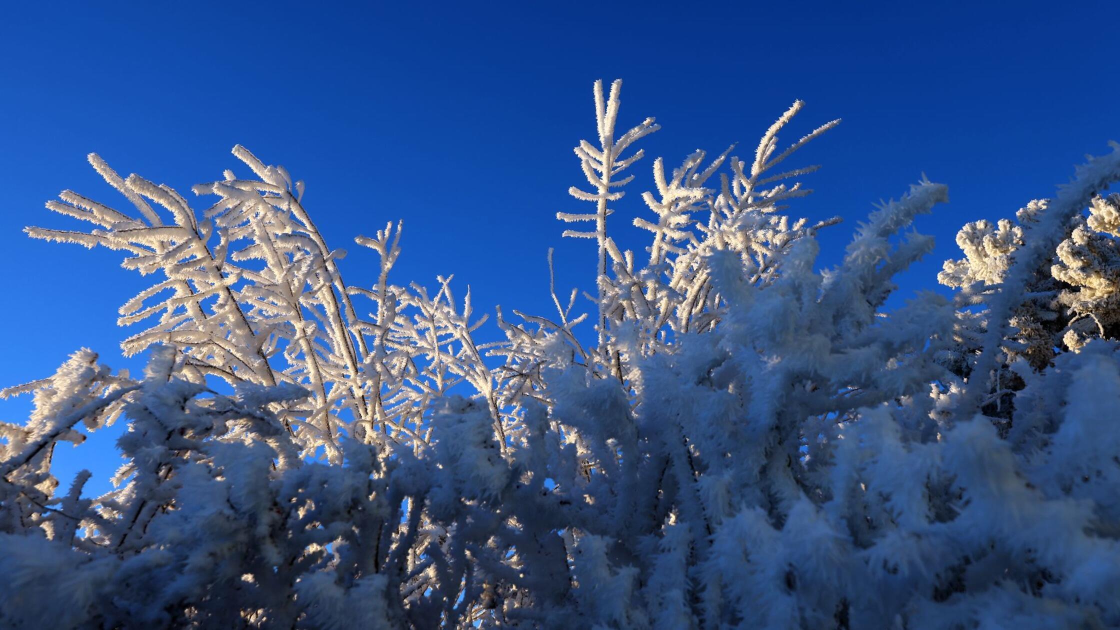 Wie-zwei-Polizisten-f-r-einen-Jungen-zu-Monsterj-gern-wurden