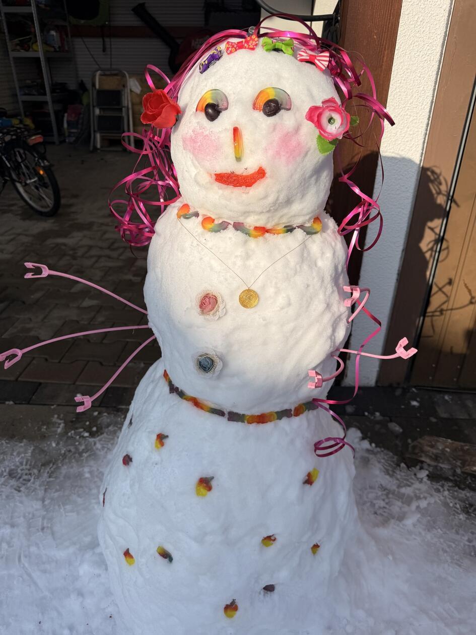 Schneem-nner-Tiere-und-Co-Das-sind-die-sch-nsten-Schneefiguren-in-Erlangen-und-ERH