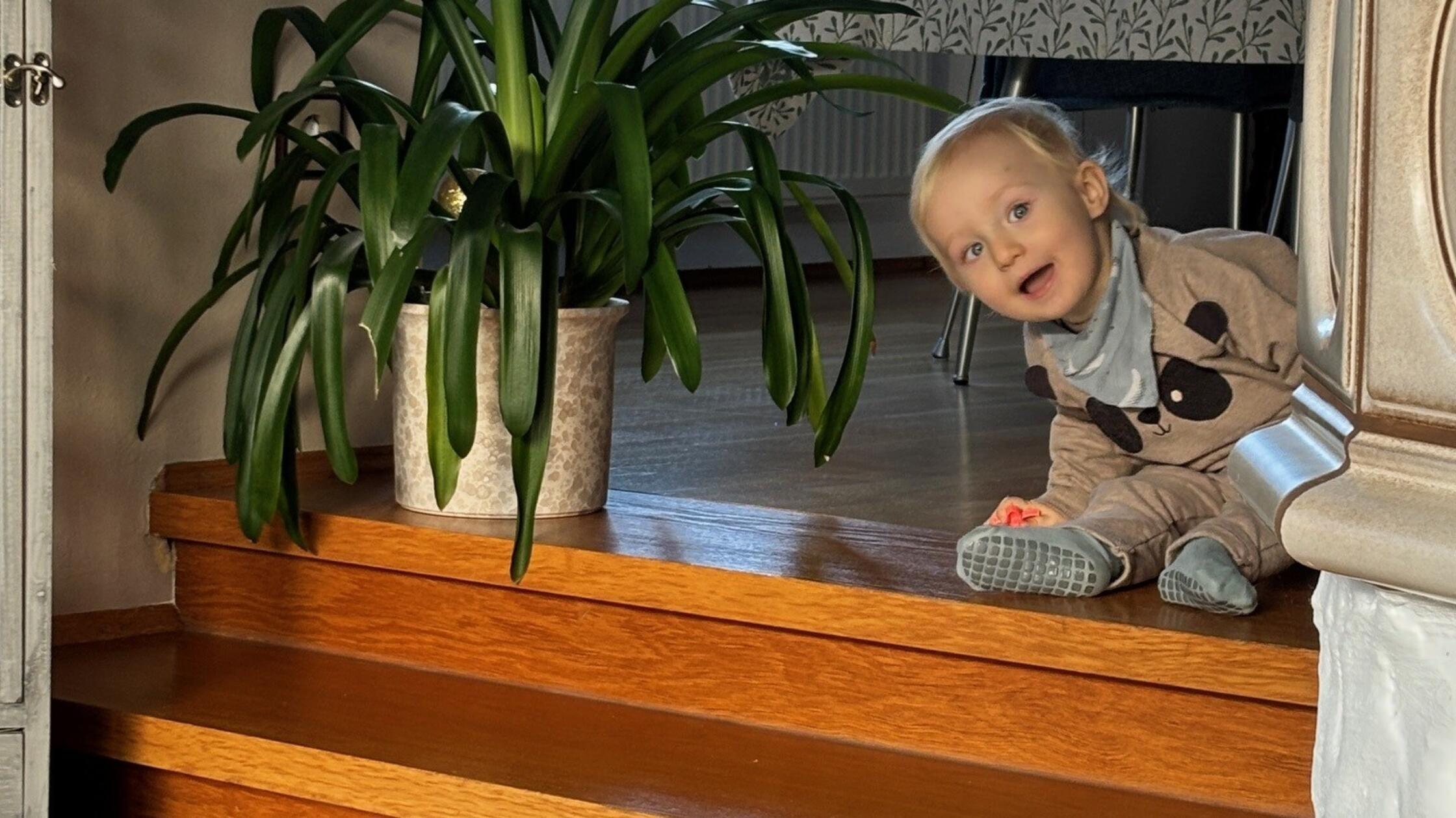 -Gehen-durch-die-H-lle-Die-Eltern-des-kleinen-Jonas-aus-N-rnberg-hoffen-auf-Hilfe-