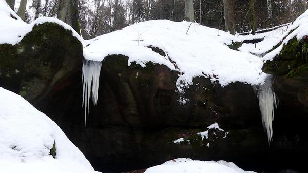 Hier zeigt uns der Winter seine Zähne, zu mindestens seine Eckzähne.