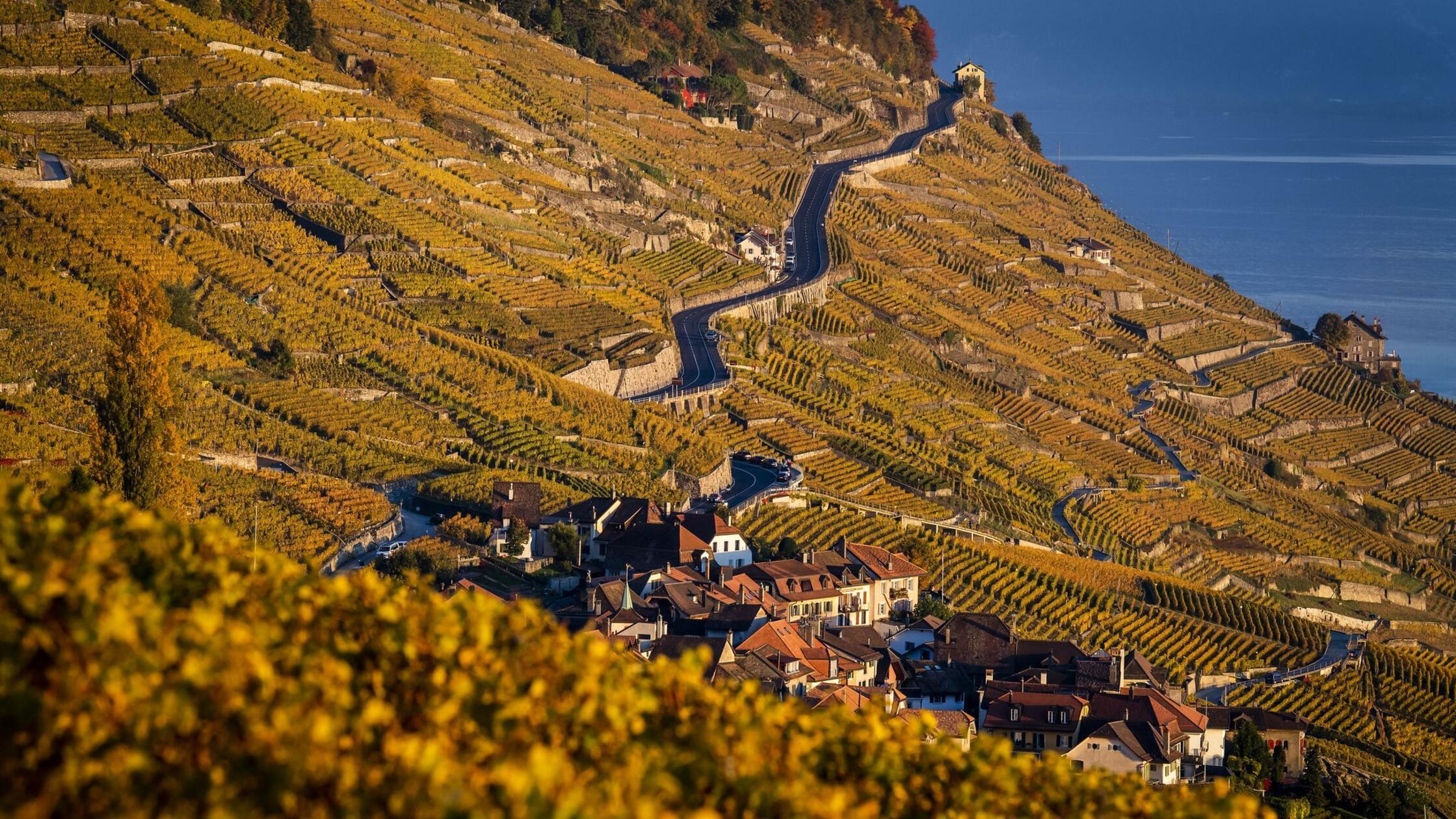 Schweizer-Politiker-will-Promillegrenze-im-Kantonsparlament