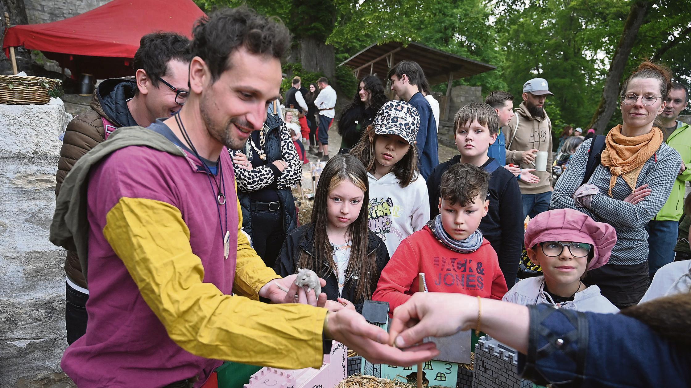 Absage-Erst-mal-kein-historisches-Fest-in-Pappenheim