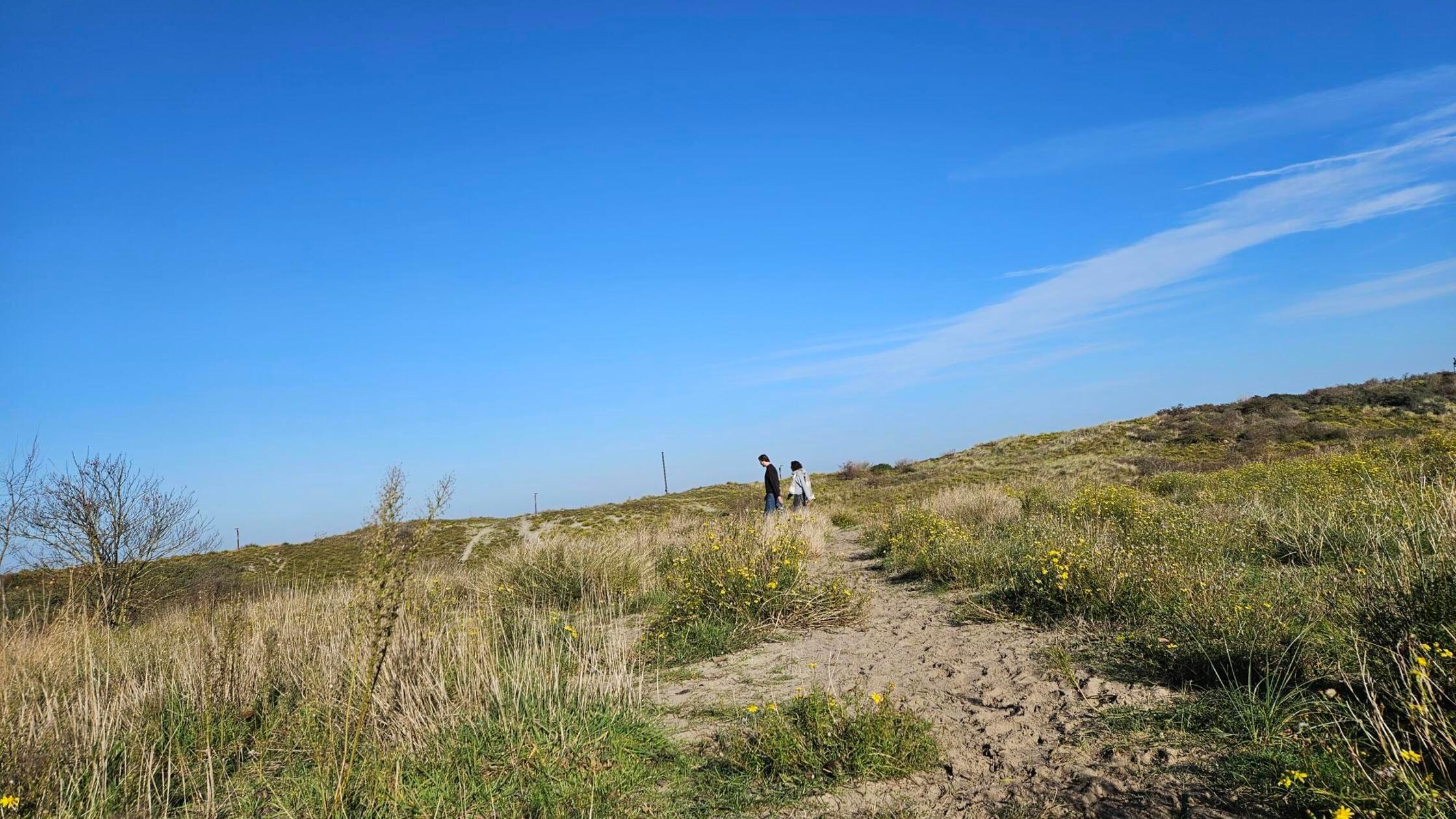 Weit und breit nur blauer Himmel, Sand und viel Grün - Wer im Naturpark seine Kopfhörer dabei hat: Auf Tafeln stehen beim "Troostwandeling" nicht nur Noten von ausgewählten Liedern, sondern auch QR-Codes, die sie direkt abspielen.