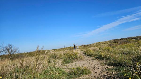 Weit und breit nur blauer Himmel, Sand und viel Grün - Wer im Naturpark seine Kopfhörer dabei hat: Auf Tafeln stehen beim "Troostwandeling" nicht nur Noten von ausgewählten Liedern, sondern auch QR-Codes, die sie direkt abspielen.
