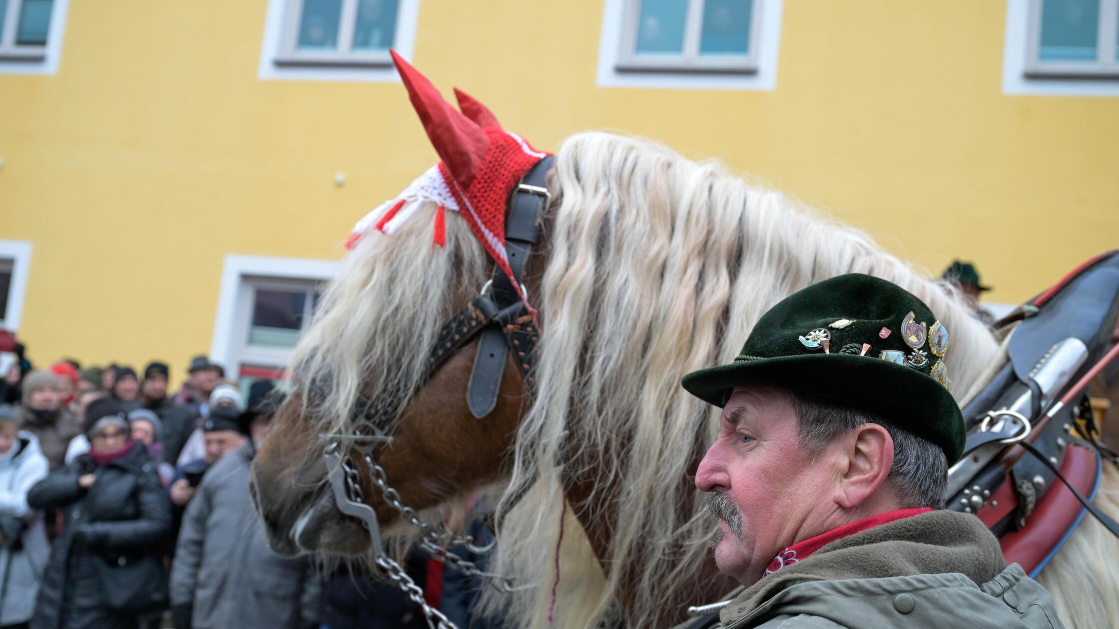 Rossmarkt-in-Berching-2026-Seien-Sie-mit-dabei-mit-unserem-Live-Ticker