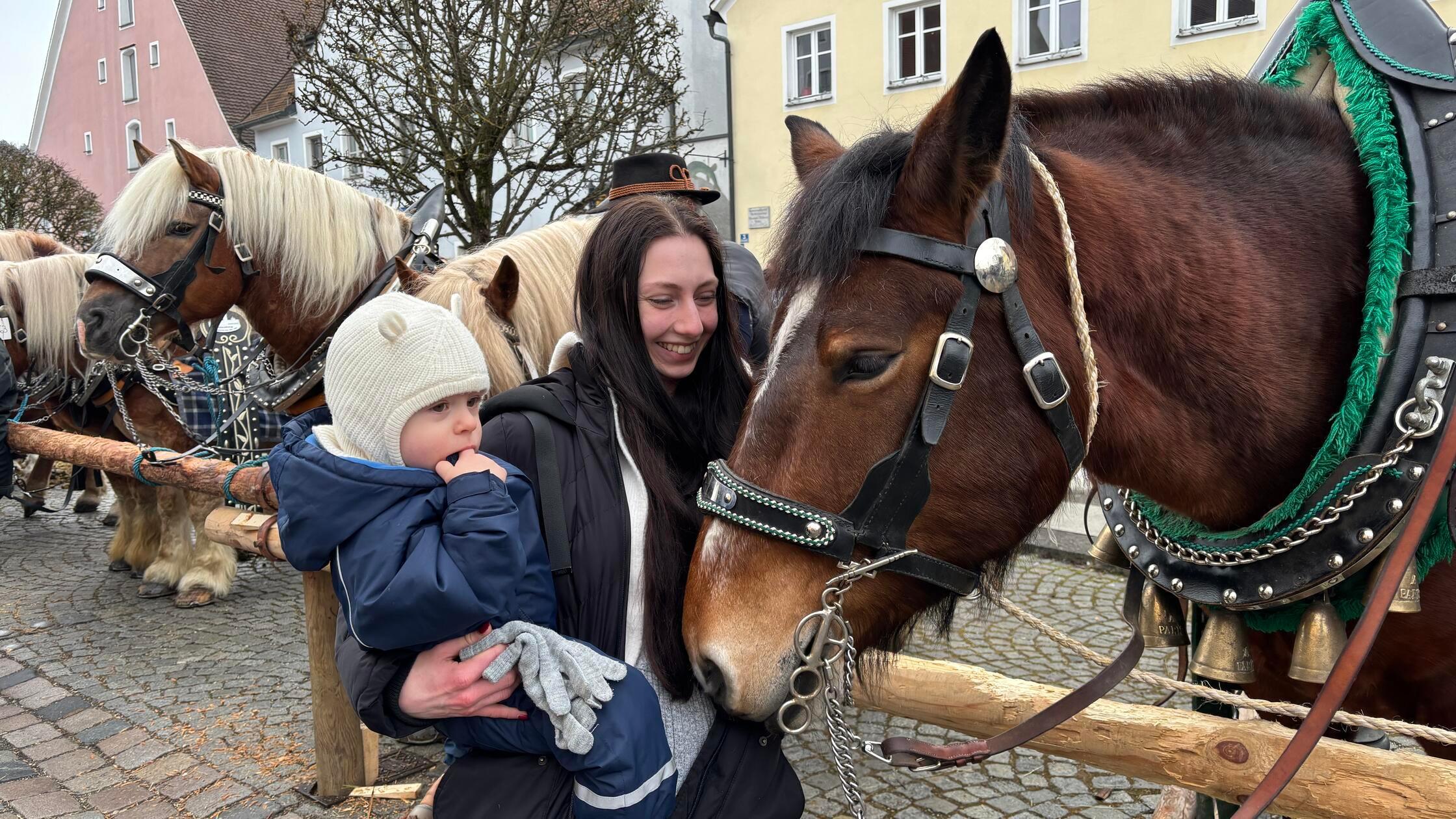 Pr-chtige-Pferde-und-z-nftige-Stimmung-Berchinger-Rossmarkt-2026-im-Ticker-zum-Nachlesen
