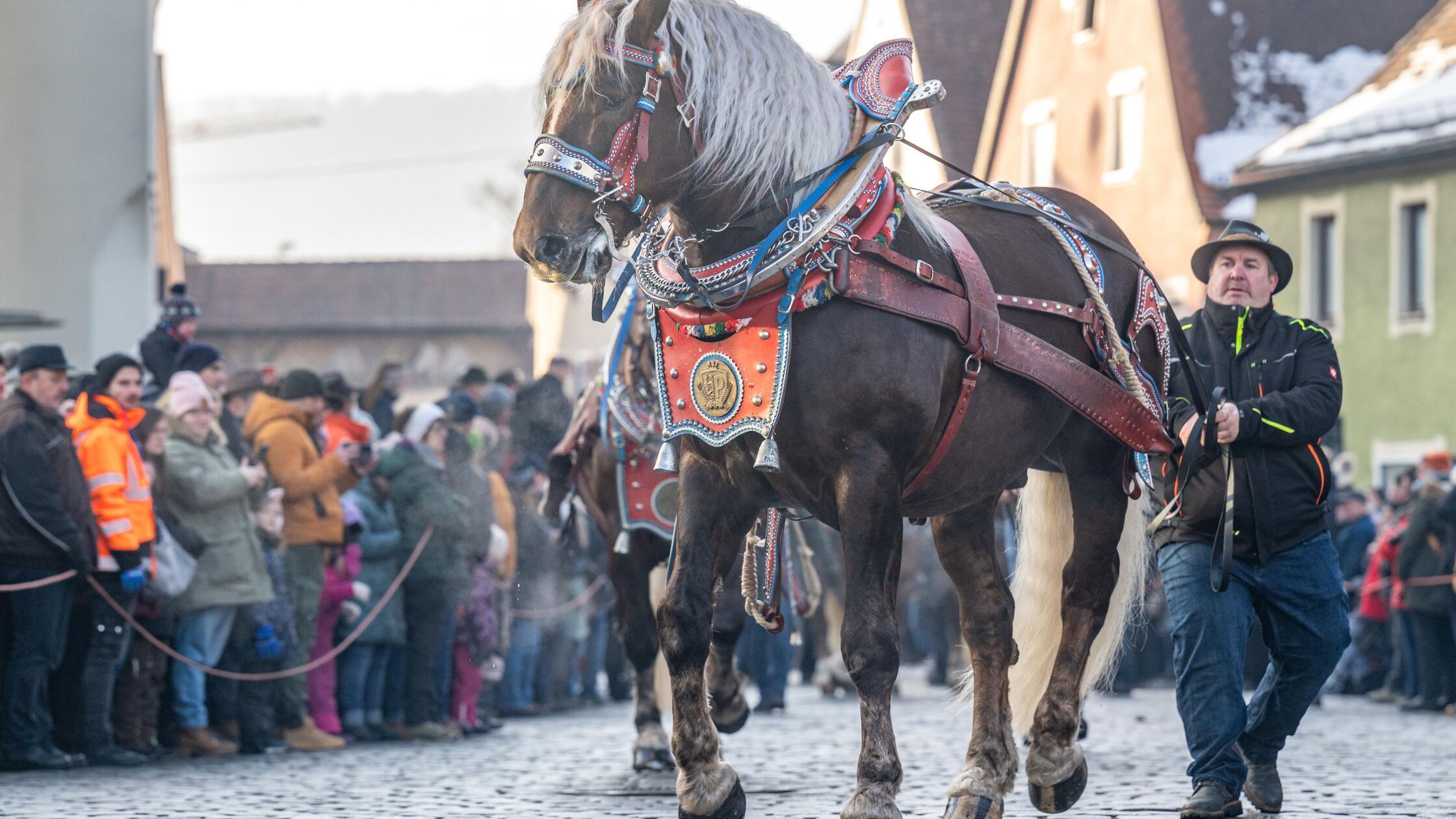 Hier-im-Ticker-Der-pr-chtige-Pferde-Auftrieb-am-Berchinger-Rossmarkt-2026-zum-Nachschauen