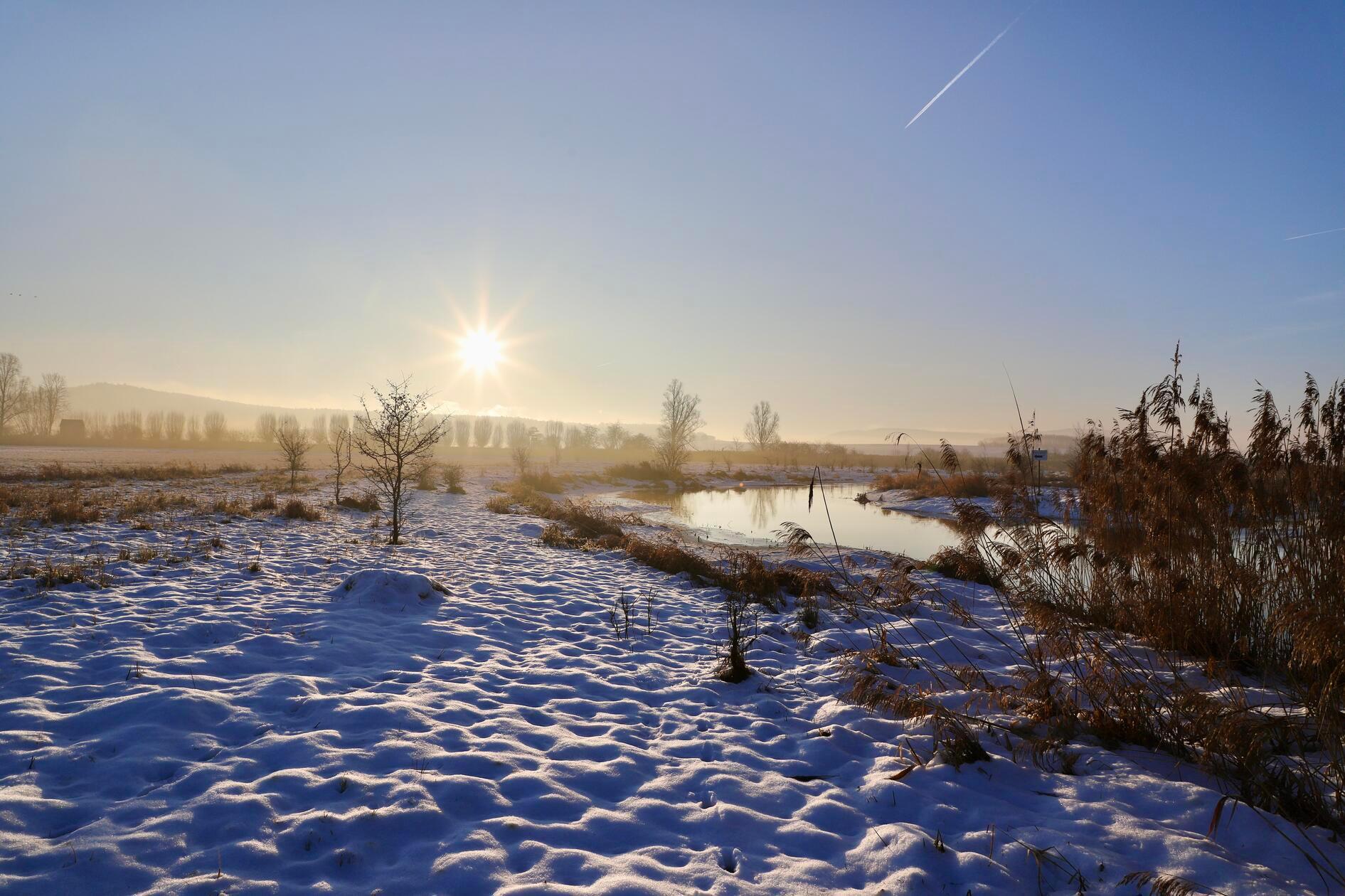 Morgenstund´ hat Gold im Mund. Frühes Aufstehen hat sich auch hier gelohnt. Kurz nach Sonnenaufgang konnte die Fotografin an der Altmühl bei Trommentsheim diese tolle Aufnahme festhalten.