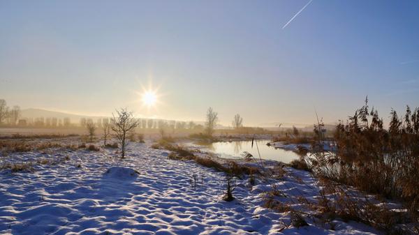 Morgenstund´ hat Gold im Mund. Frühes Aufstehen hat sich auch hier gelohnt. Kurz nach Sonnenaufgang konnte die Fotografin an der Altmühl bei Trommentsheim diese tolle Aufnahme festhalten.