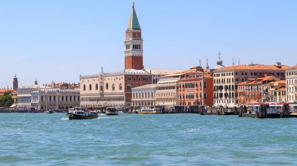 - Invasive Quallenart gefährdet Venedig