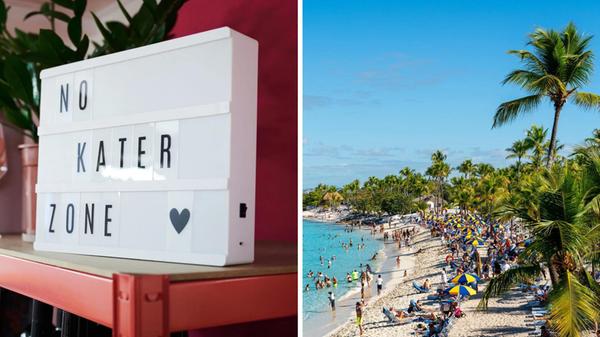 2026-01-31_15-35_collage