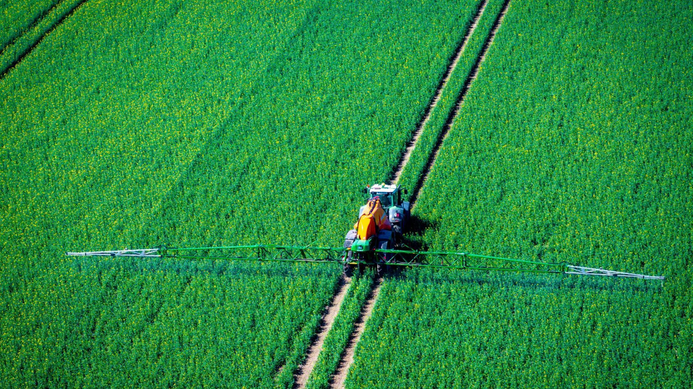 Studie-Pestizide-sch-digen-Europas-B-den-und-N-tzlinge