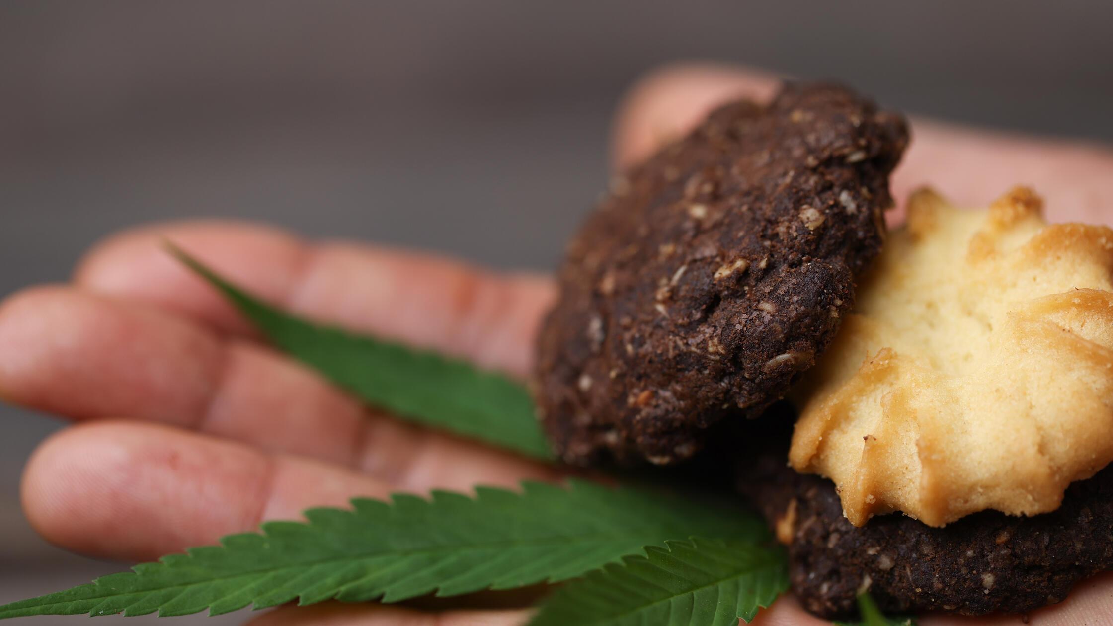 Rangelei-wegen-Cannabis-Geb-ck-Frischluftfreund-aus-dem-Kreis-Neumarkt-kassiert-Schl-ge