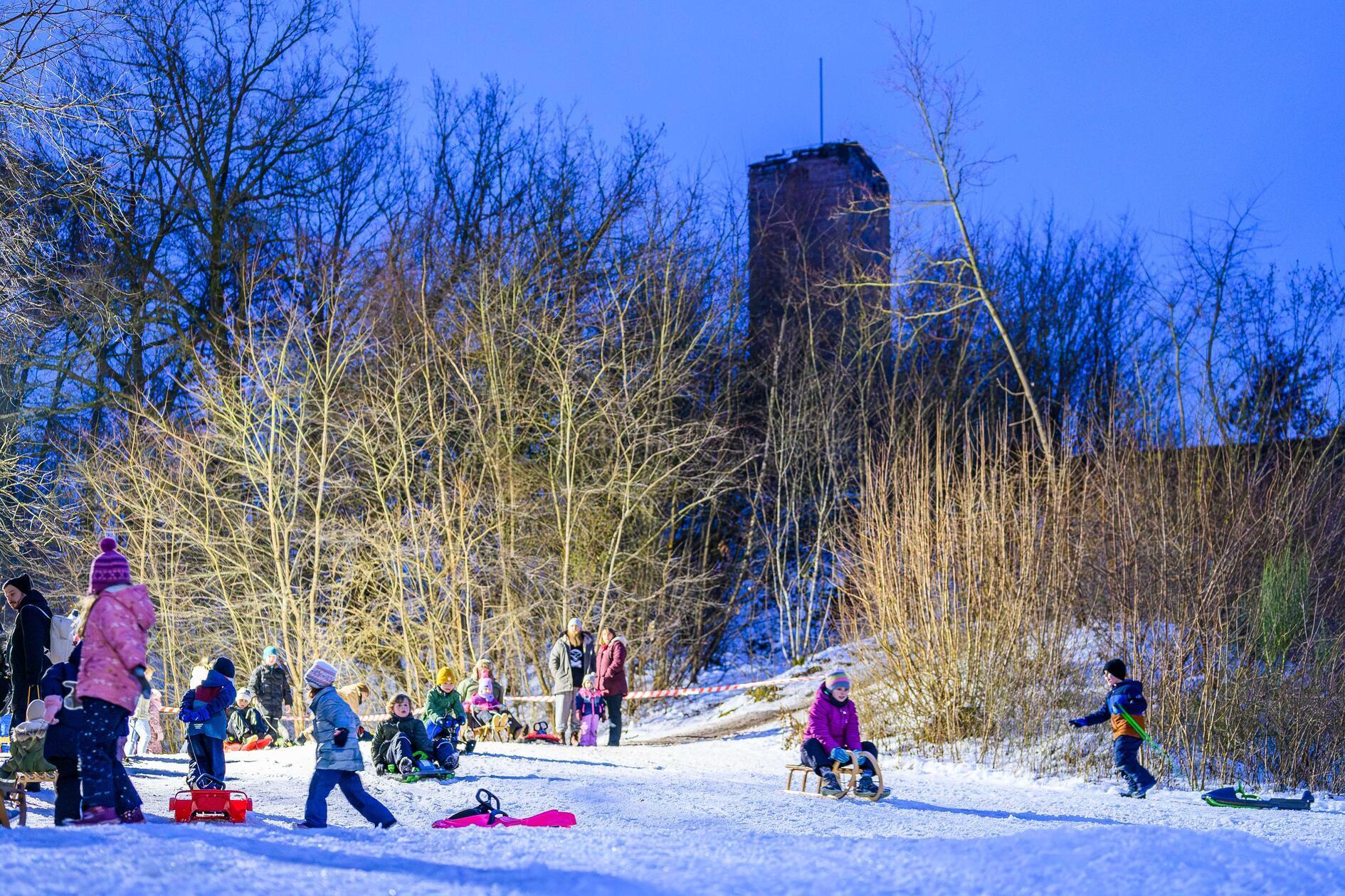 Flutlicht-f-r-Schlittenfans-Die-sch-nsten-Bilder-vom-Event-am-Hilpoltsteiner-Schlossbuck