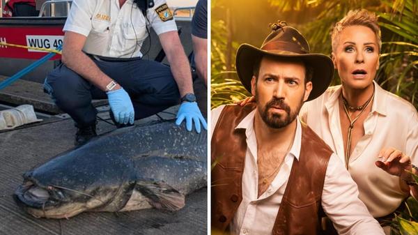 2026-02-01_19-23_collage