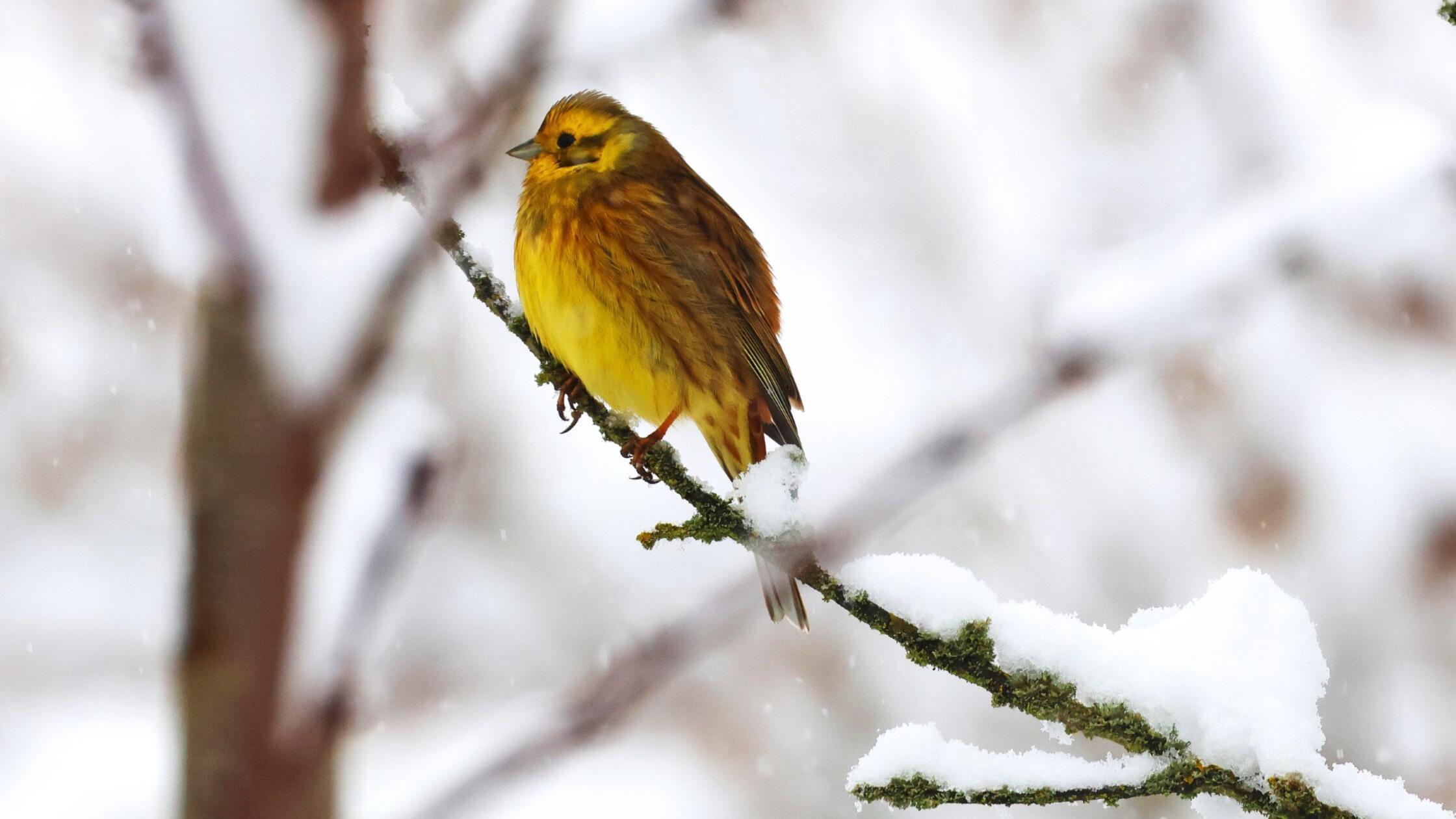 Februar-2026-Die-sch-nsten-Leserfotos-aus-Stadt-und-Landkreis-Forchheim
