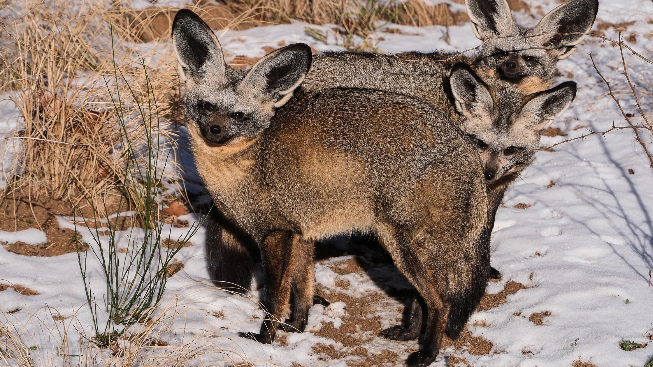 Die-sch-nsten-Leserfotos-aus-N-rnberg-im-Februar-2026