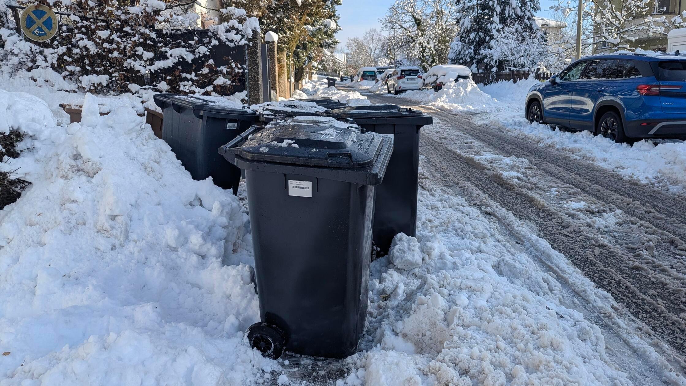 pxl_20260127_100354753 - 1