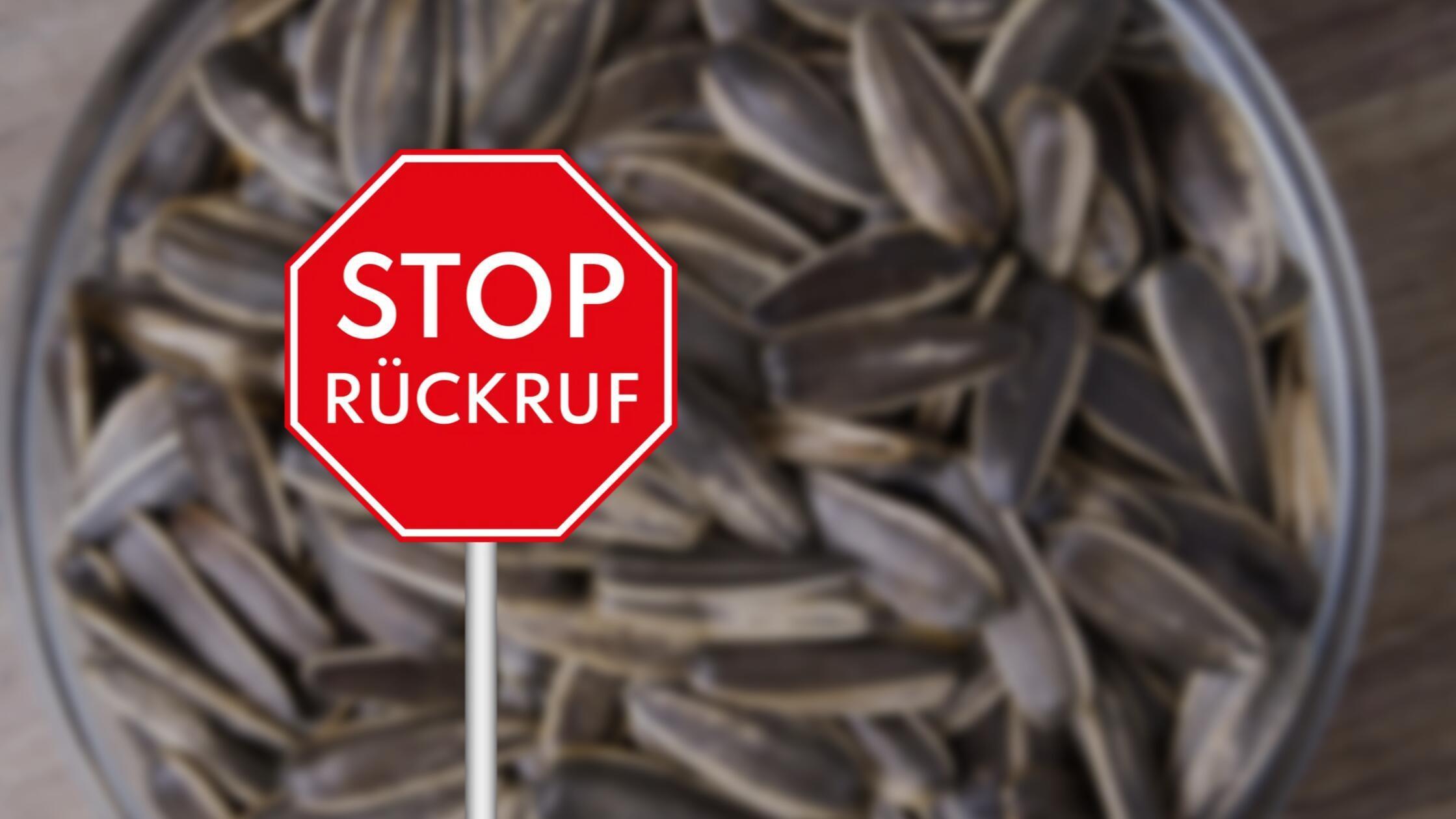 2026-02-02_16-25_collage