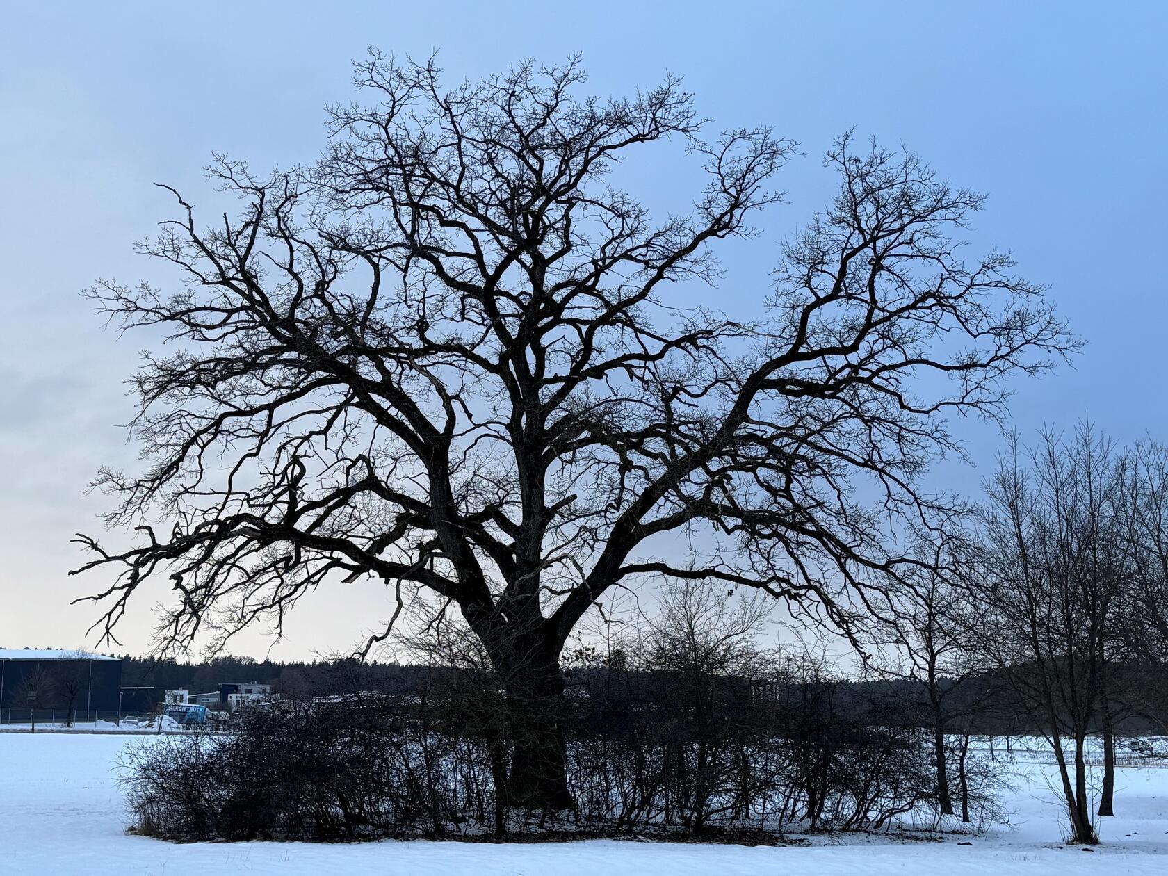 Unsere-Leserfotos-im-Februar-2026-aus-Neumarkt-und-Umgebung
