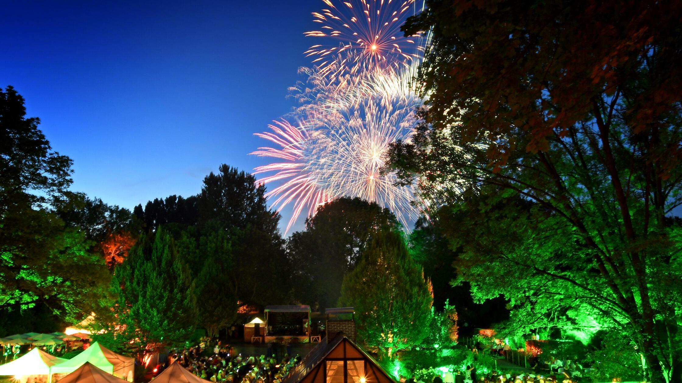 B-llerei-zur-Brutzeit-G-be-es-Alternativen-zum-Feuerwerk-beim-F-rther-Sommernachtsball-