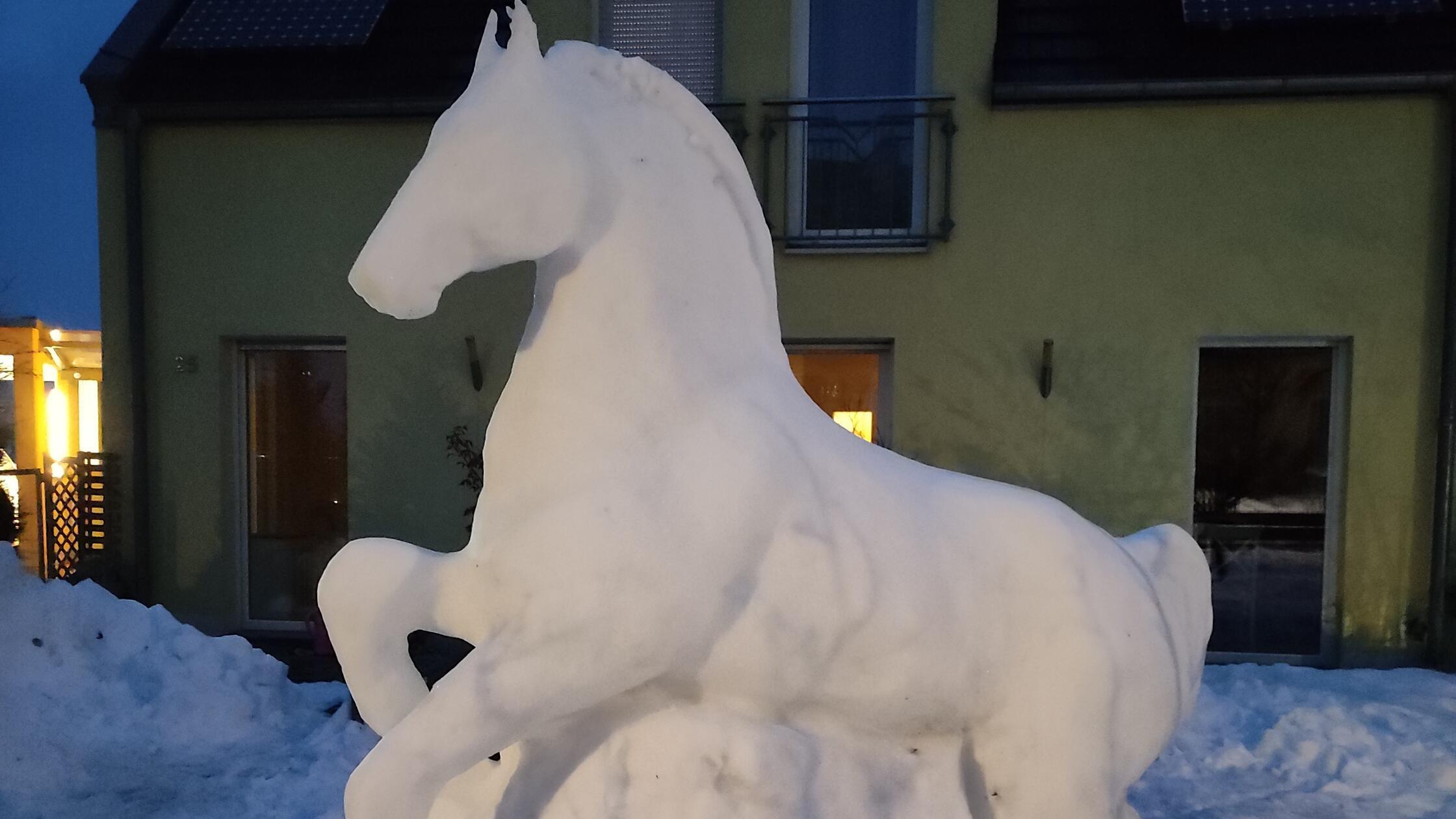 Echter-Hingucker-in-der-Fr-nkischen-Schweiz-Das-ist-das-wei-e-Ross-von-Wiesenthau