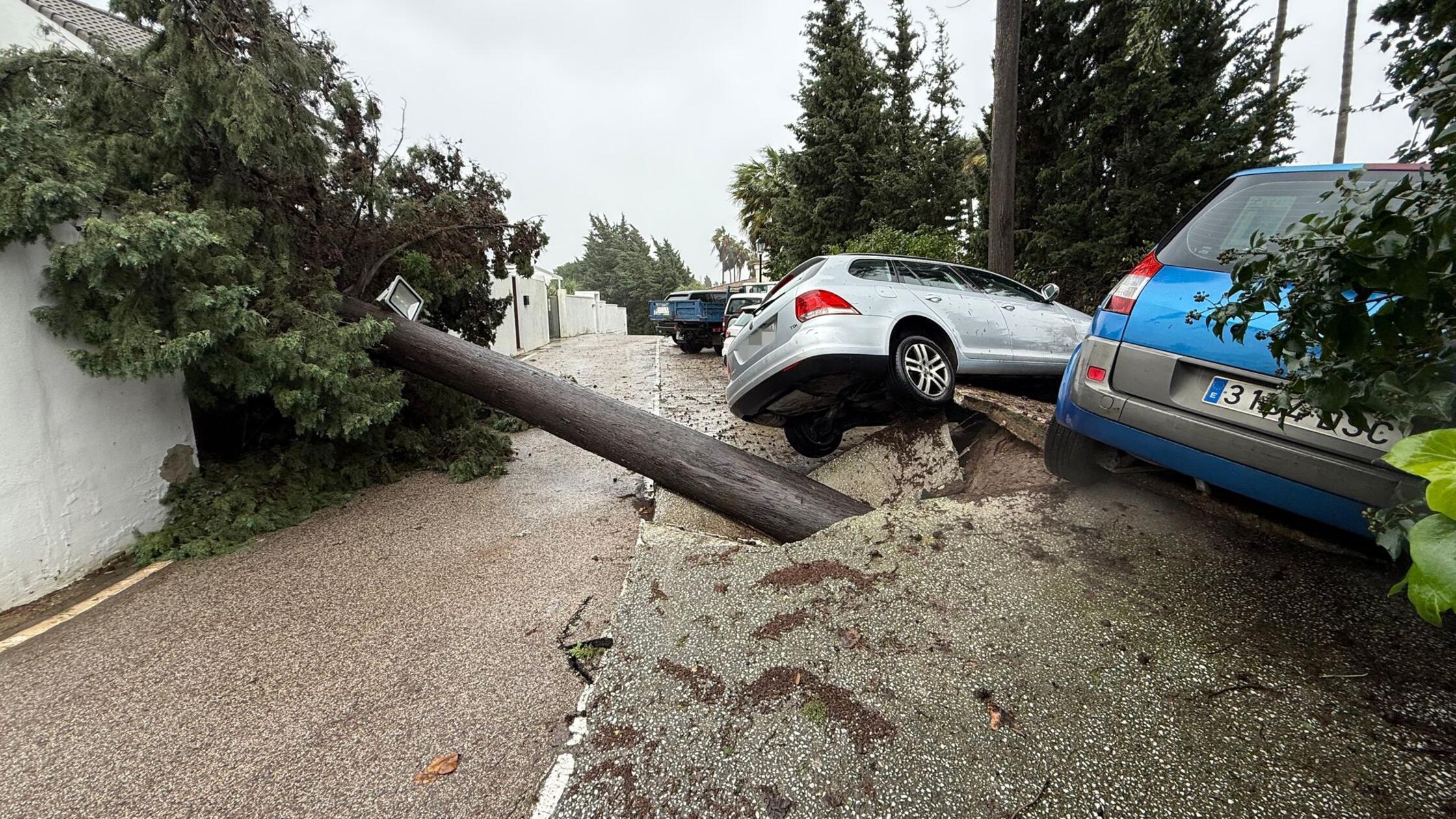 Ein Baum ist umgestürzt und Autos wurden dadurch i