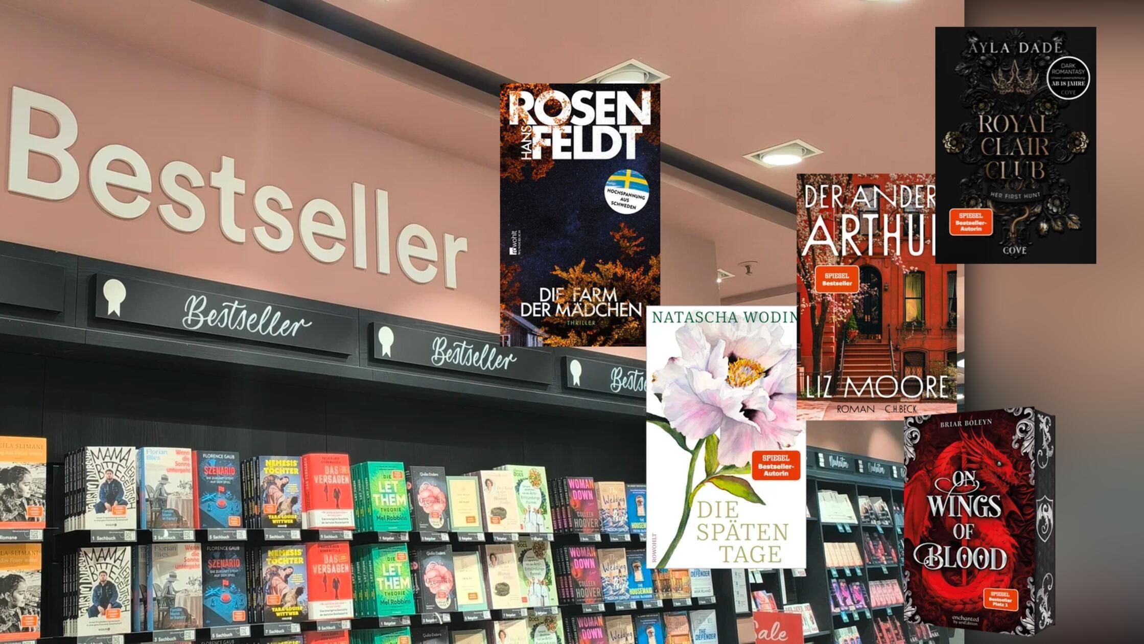 2026-02-05_10-04_bild_erweitern