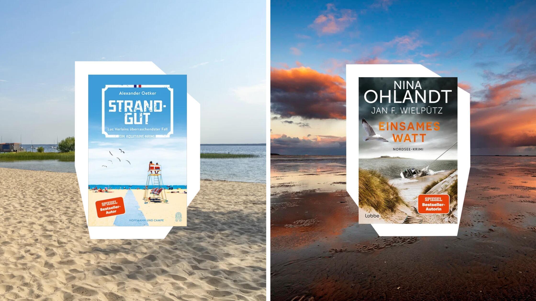 2026-03-13_07-35_collage