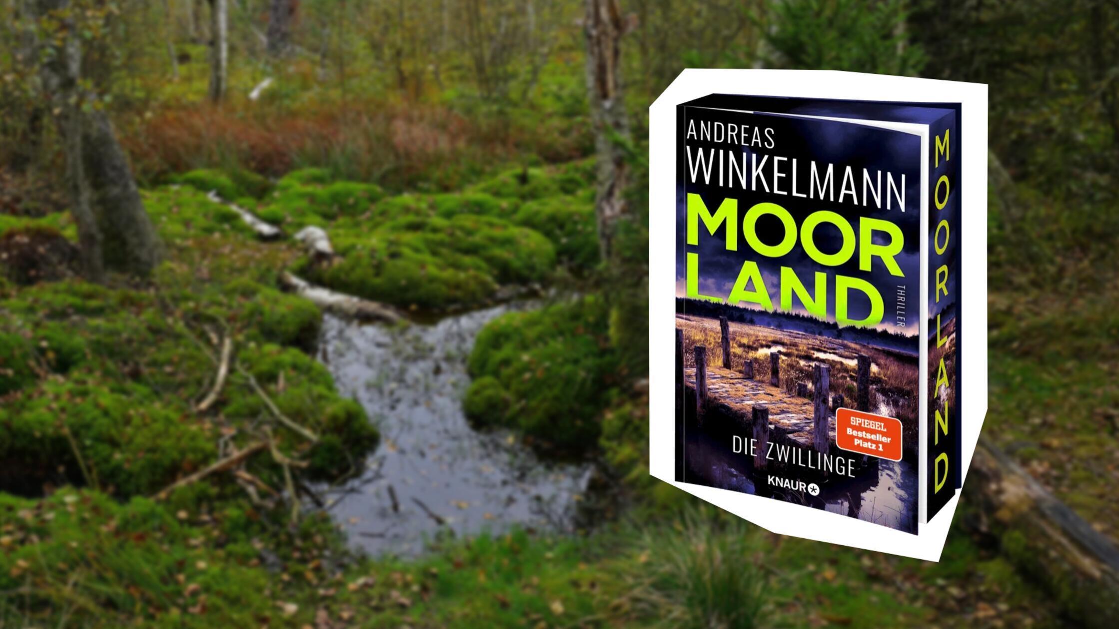 2026-03-13_09-03_collage