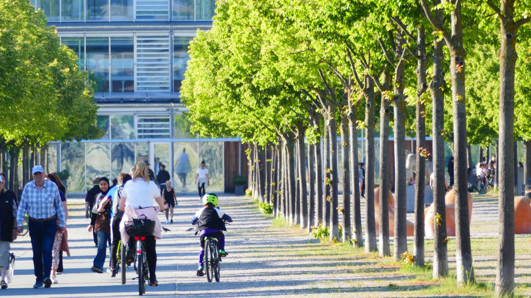 30-B-ume-im-S-dstadtpark-Reaktionen-auf-F-rther-OB-Vorsto-Hat-die-Stadt-zuviel-Geld-