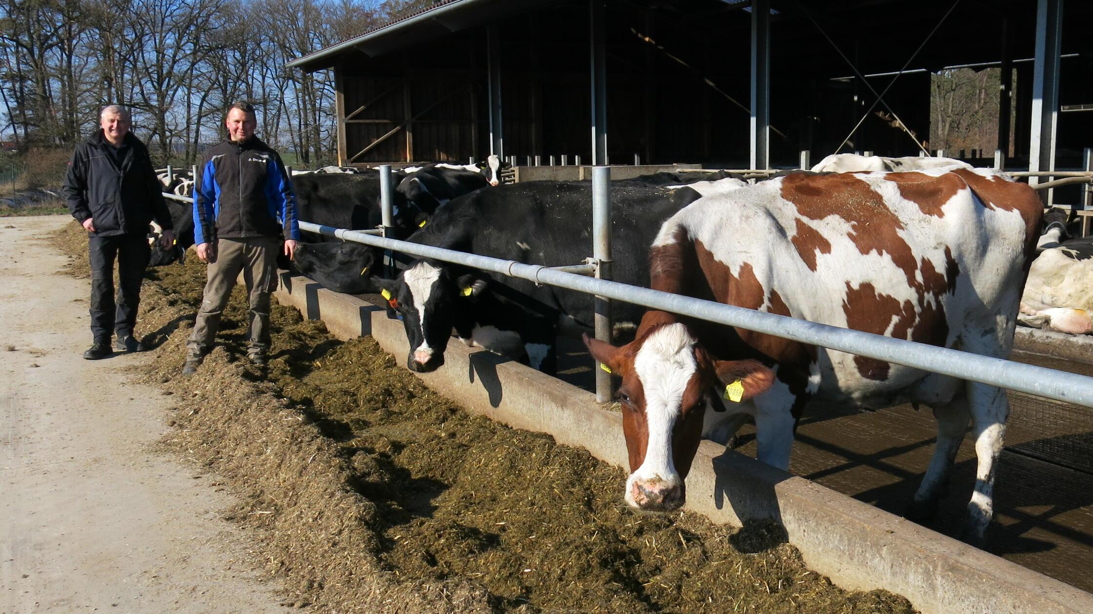 Fensel_Günter_Gerd_vli sj