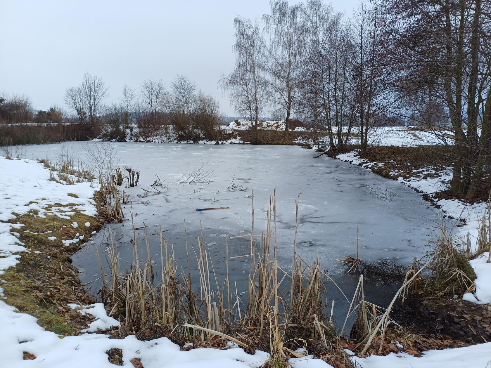 Das Eis trägt nicht, aber der Weiher ist trotzdem im Angesicht von winterlicher Kälte erstarrt. Still ruht er und harrt warmer Sonnenstrahlen. Gesehen im Neubaugebiet von Merkendorf. 