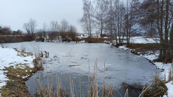 Das Eis trägt nicht, aber der Weiher ist trotzdem im Angesicht von winterlicher Kälte erstarrt. Still ruht er und harrt warmer Sonnenstrahlen. Gesehen im Neubaugebiet von Merkendorf.