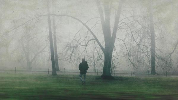 Man walking on meadow with trees, fog