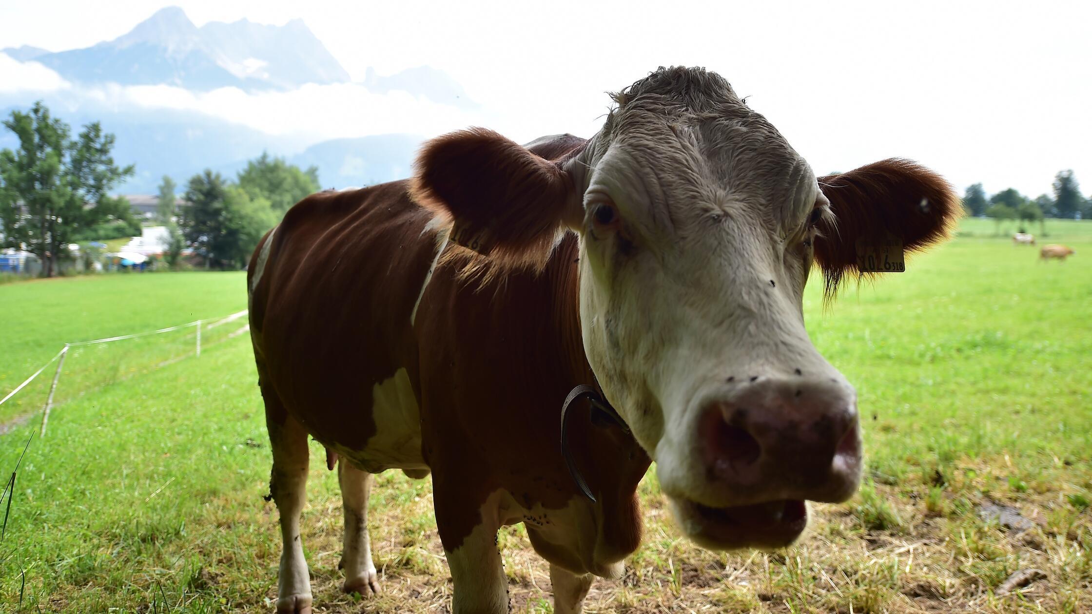 Trainingslager SpVgg Greuther Fürth