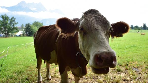Trainingslager SpVgg Greuther Fürth