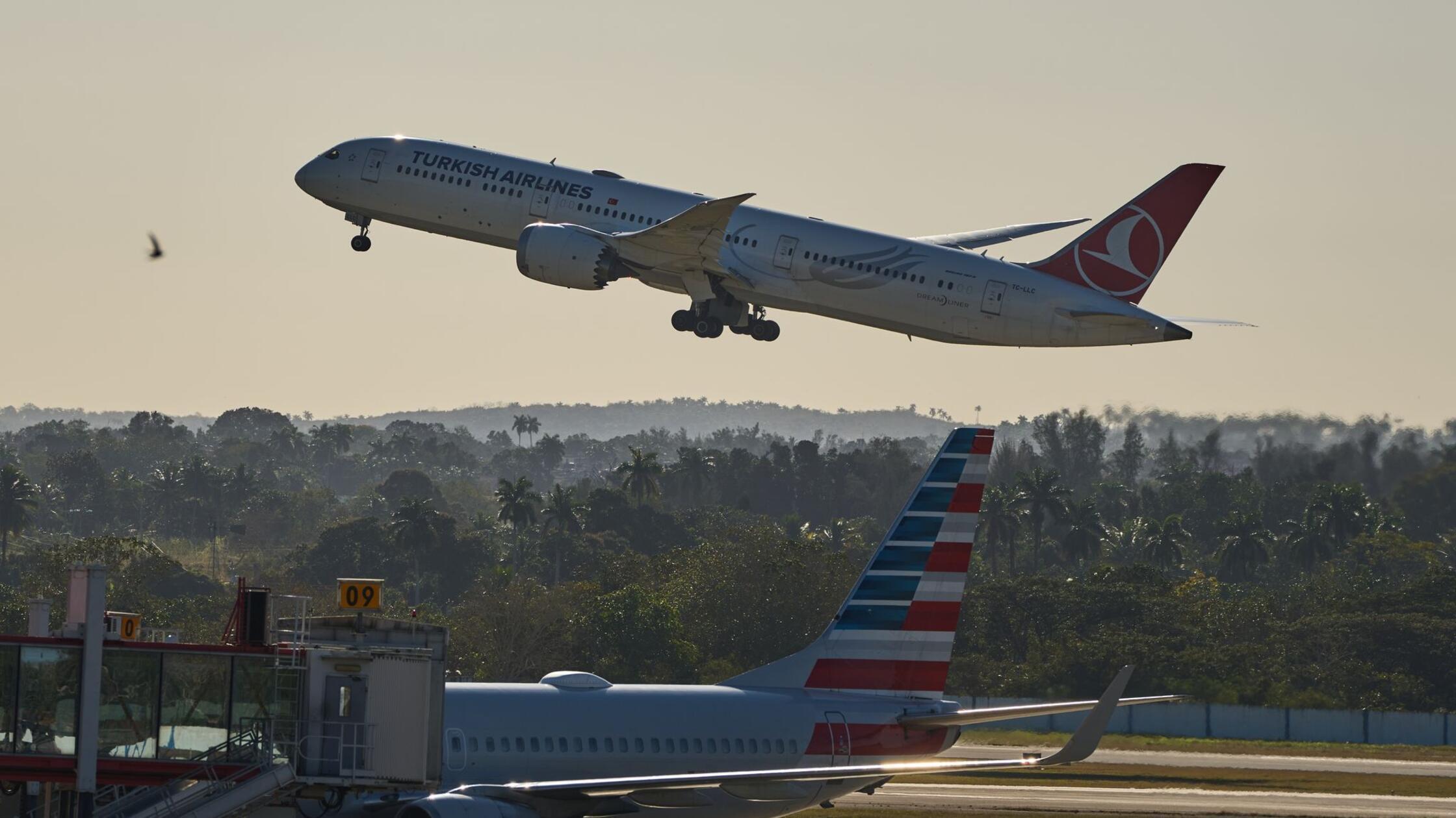 Kerosin-auf-Kuba-wird-knapp-Air-Canada-stoppt-Fl-ge