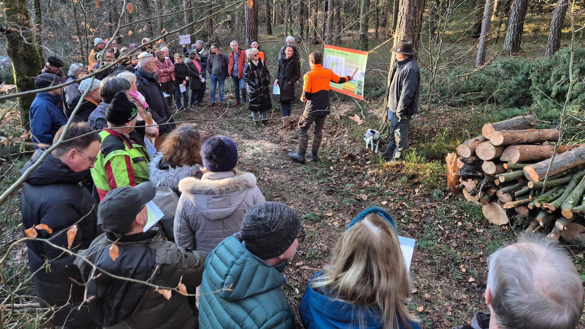Klimaresilienter, artenreicher Wald