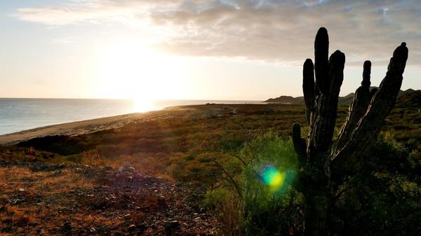 Der Strand von Cabo Pulmo am Morgen. Hier steigen wir zu zwei tollen Tauchgängen ins Meer.