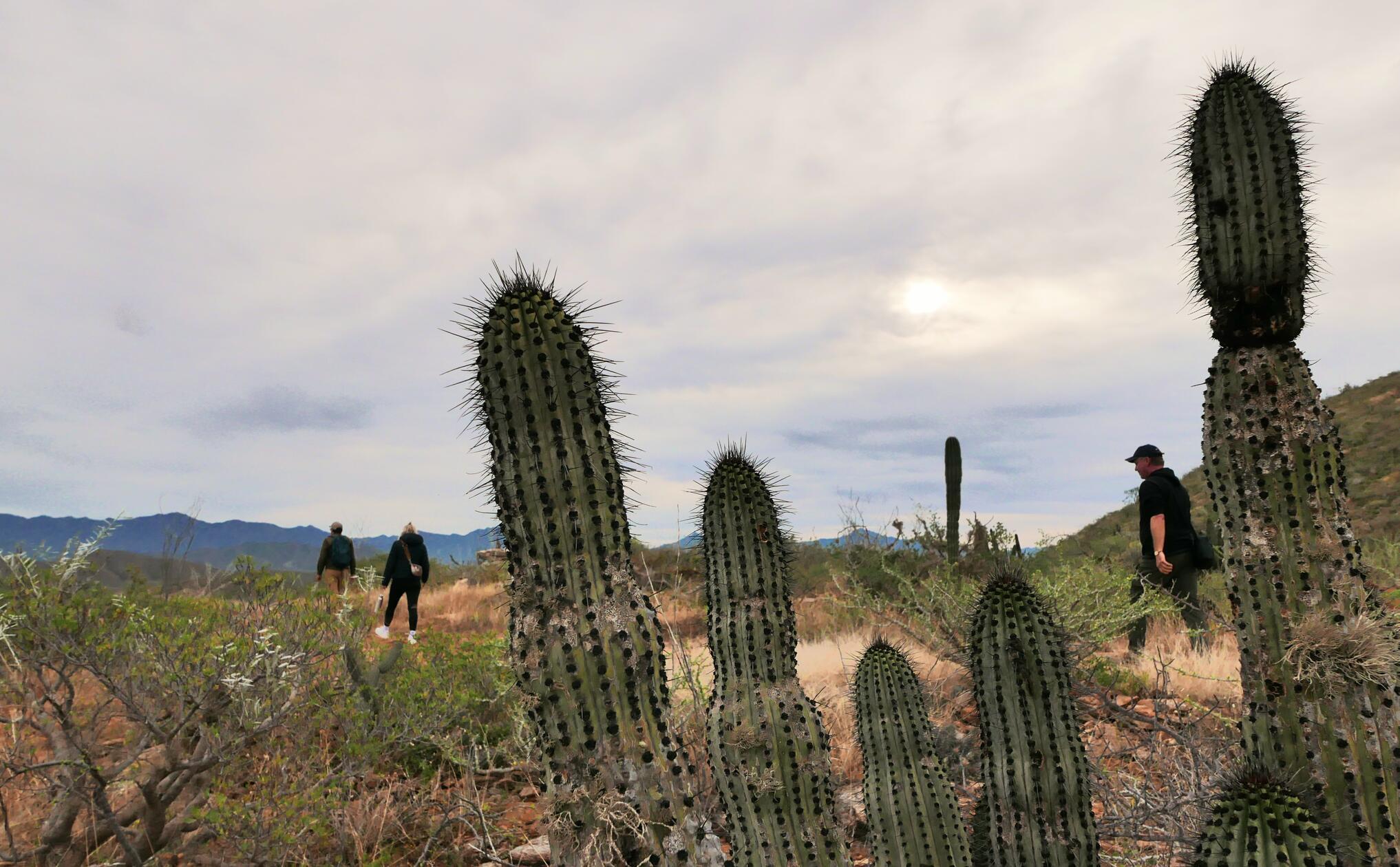 Auch dieser morgendliche Trip mit Guide in die Natur wird kostenlos vom Paradero-Hotel angeboten.