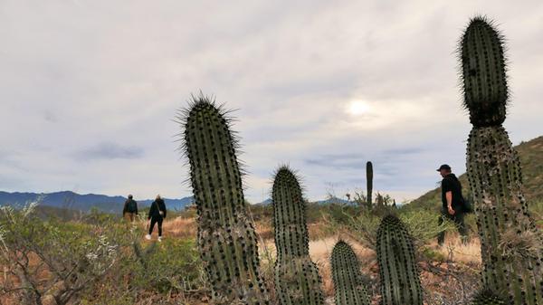 Auch dieser morgendliche Trip mit Guide in die Natur wird kostenlos vom Paradero-Hotel angeboten.