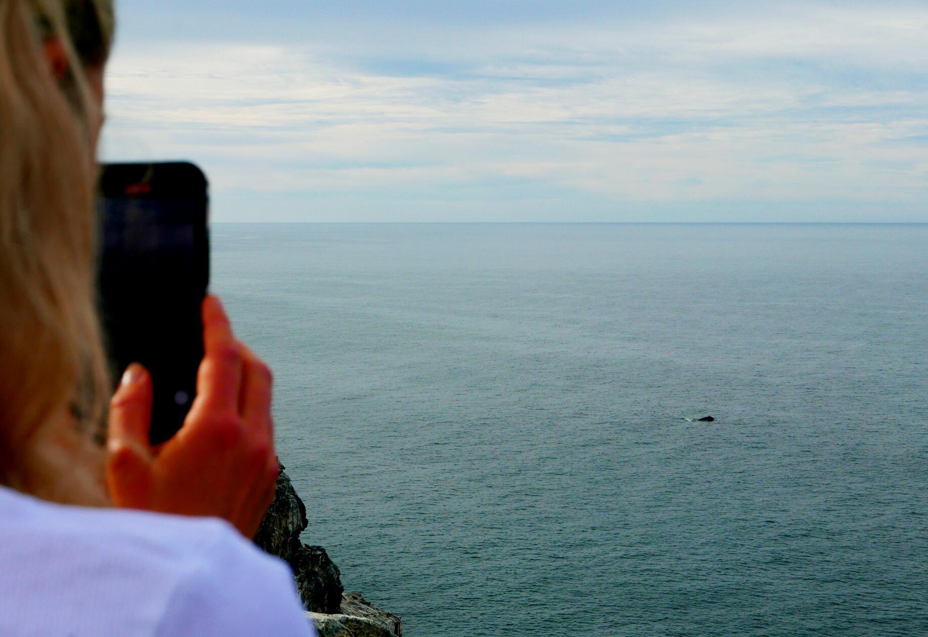 Von dieser Klippe auf der Wanderung lassen sich auf dem Meer Wale beobachten.