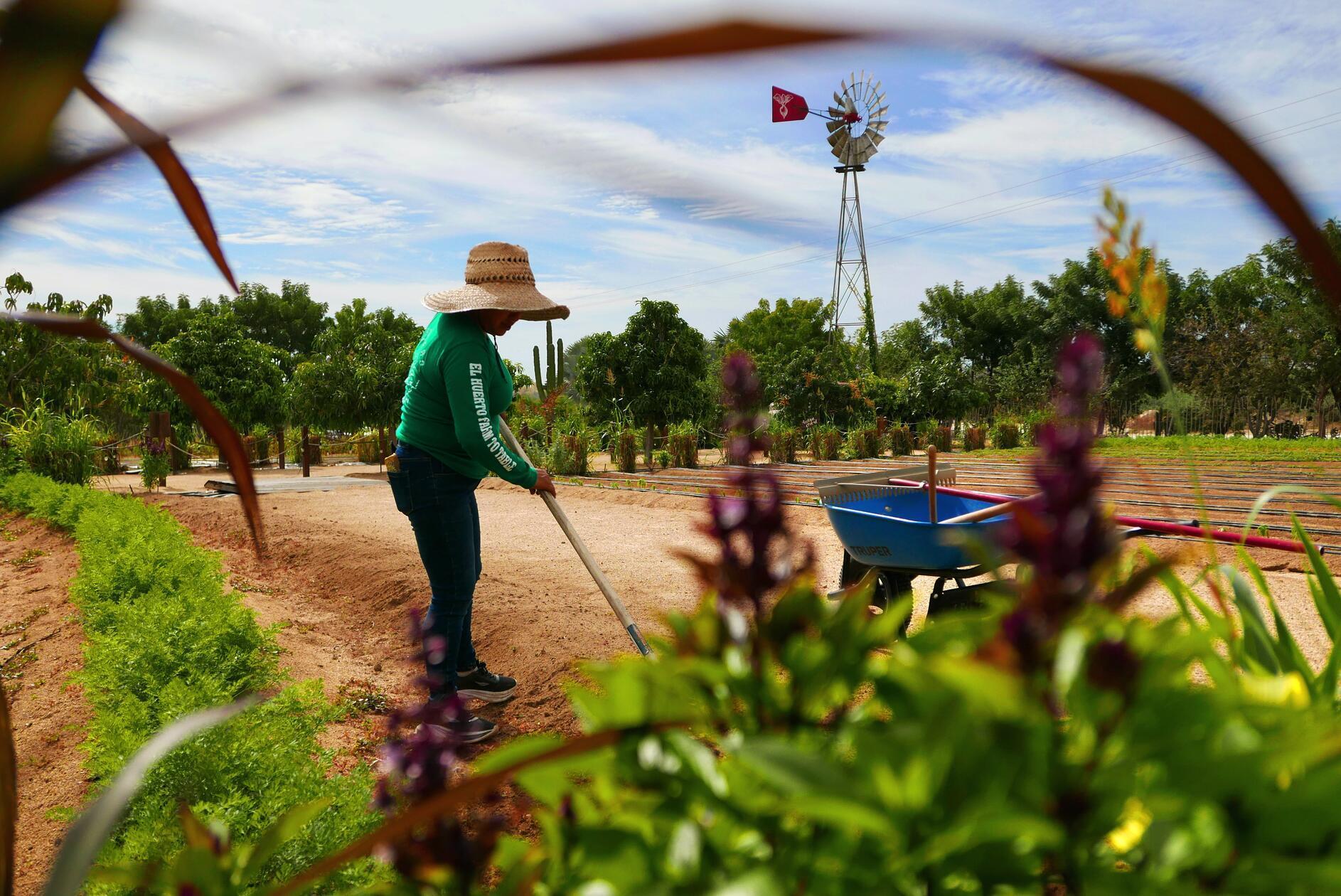 El Huerto hat seine eigenen Felder und liefert von dort das Essen direkt ins Restaurant.
