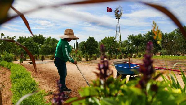 El Huerto hat seine eigenen Felder und liefert von dort das Essen direkt ins Restaurant.