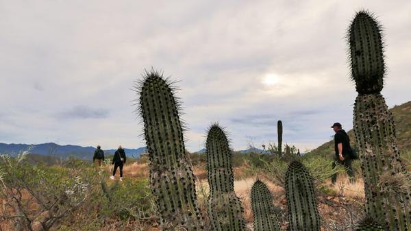 2026 Mexiko Los Cabos Baja California Niese