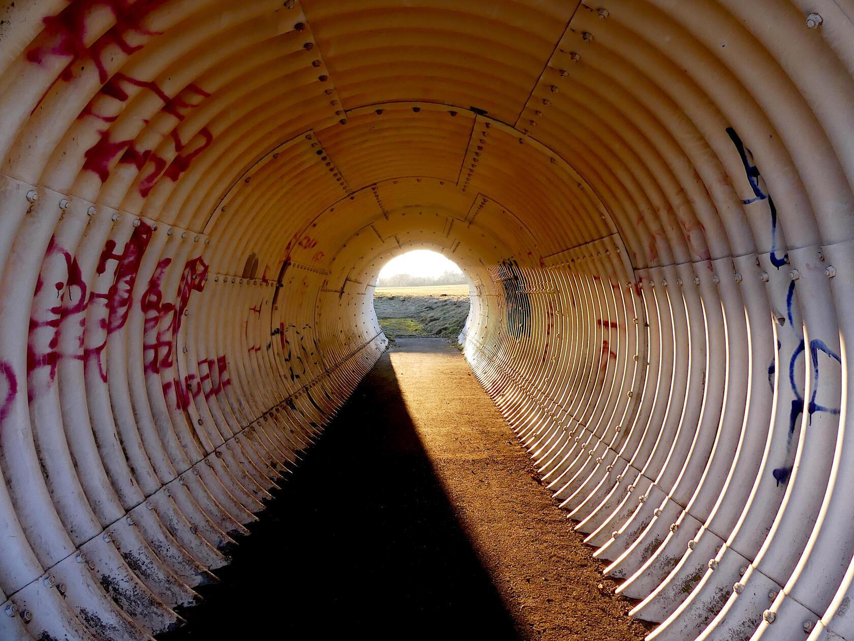 Es ist Licht am Ende des Tunnels. Ob dort der Frühling auf uns wartet?